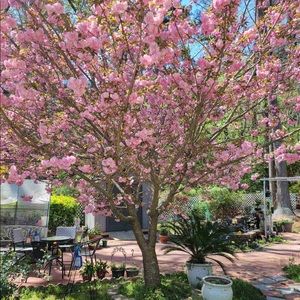 Meet your Posher, Ha